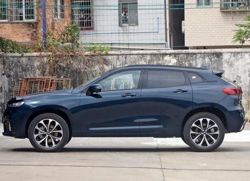 買車執意要選wey vv7,車主說了心里話
