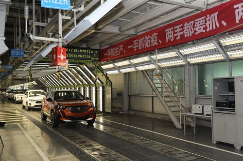 幫中國汽車說話,唐唯實有這么好心
